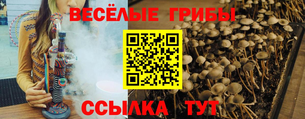 Галлюциногенные грибы GOLDEN TEACHER Бирск