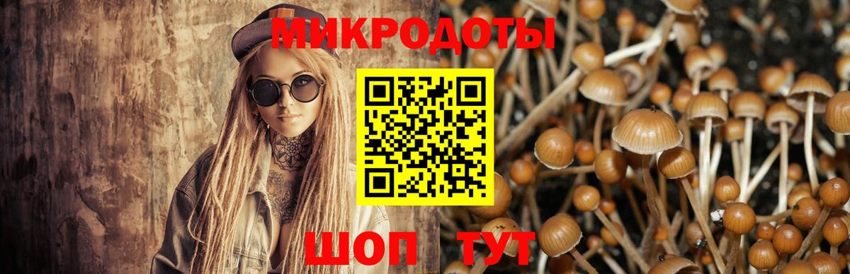 Бирск  Галлюциногенные грибы Psilocybe  Вход с VPN 